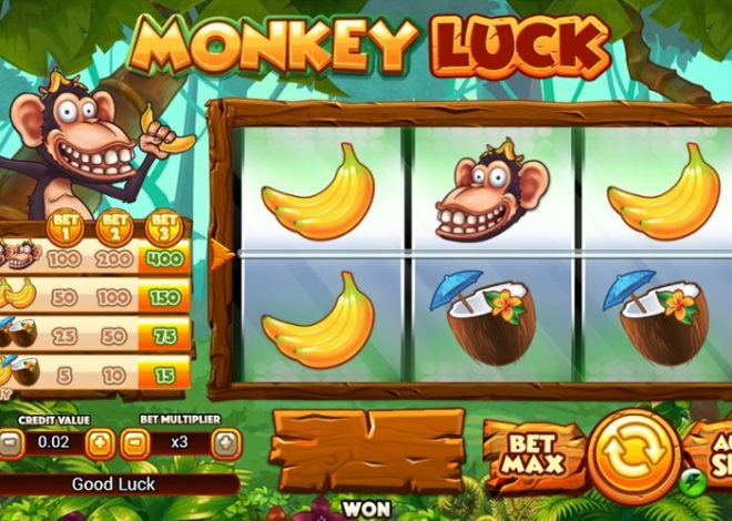 Slot Monkey Luck: Petualangan Bersama Monyet Keberuntungan